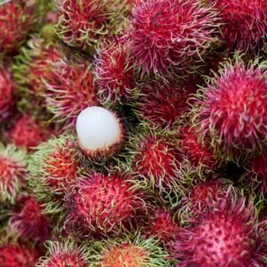 Rambutan